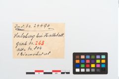 Etikett zu Eisenschwert (NHMW-PRAE-024490)